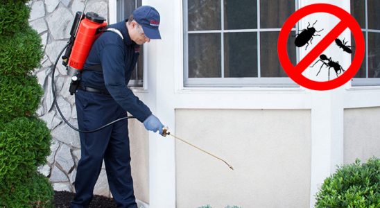 Birecik Akrep İlaçlama böcek ilaçlama ve haşere kontrolü — ilaclama-tr.com